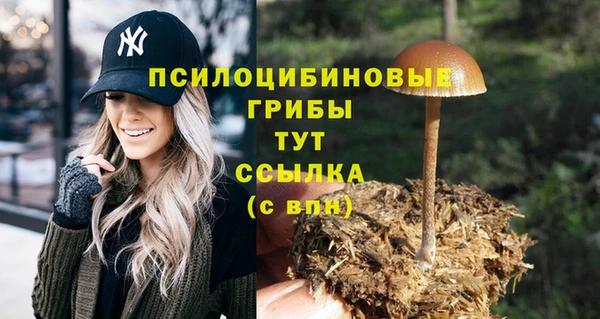 COCAINE Алексеевка