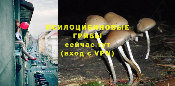 круглые Алзамай
