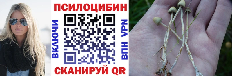 Галлюциногенные грибы Psilocybe  кракен как зайти  Железногорск-Илимский  где можно купить наркотик 