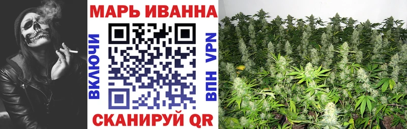 Шишки марихуана тримм  ОМГ ОМГ   Железногорск-Илимский  цены наркотик 
